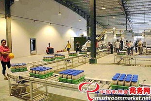 河北光明食品集團(tuán)臨西縣食用菌工廠化建設(shè)項(xiàng)目圓滿竣工，助力現(xiàn)代農(nóng)業(yè)發(fā)展